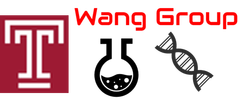 Wang Group